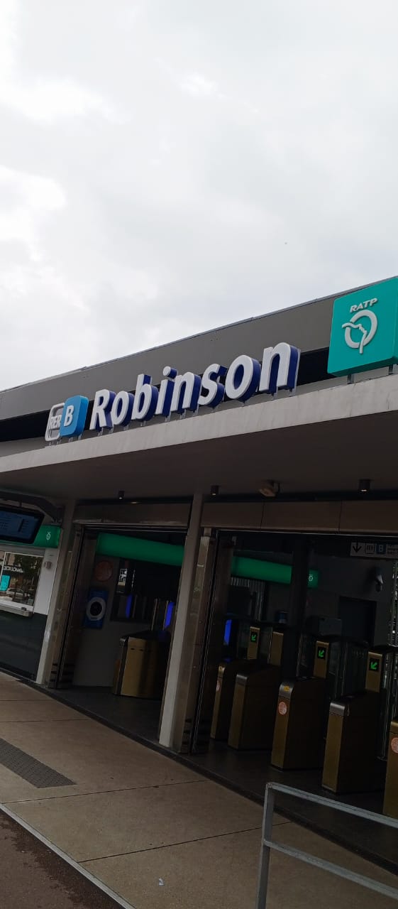 If you're coming in through CDG airport, you're definitely taking the RER B train.