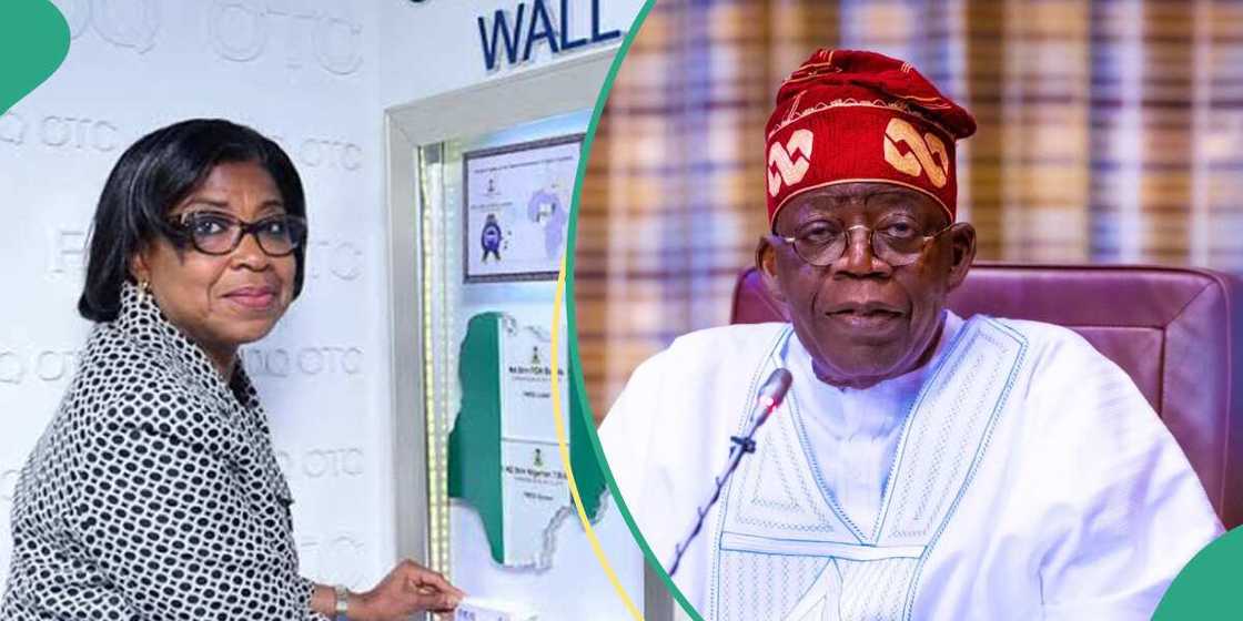 Federal government to raise N200bn through fresh bond offerings
