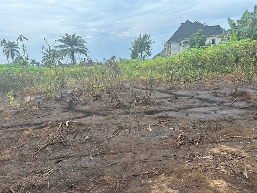 Polluted farmland due to ruptured pipeline at B-Dere community in Rivers state( Photo credit: Abdulkareem Mojeed)
