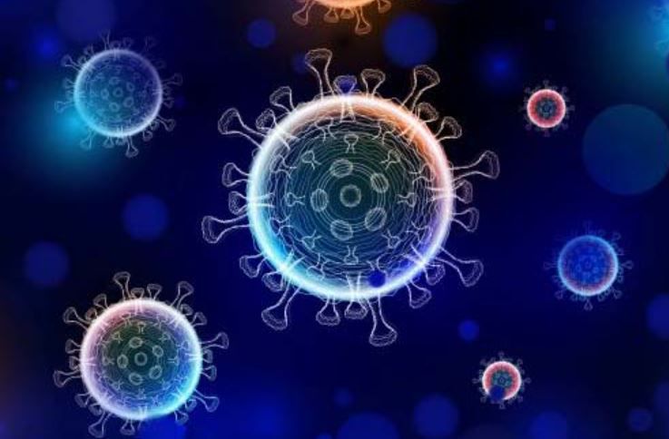 What’s HMPV? All you need to know about the latest fast-spreading virus