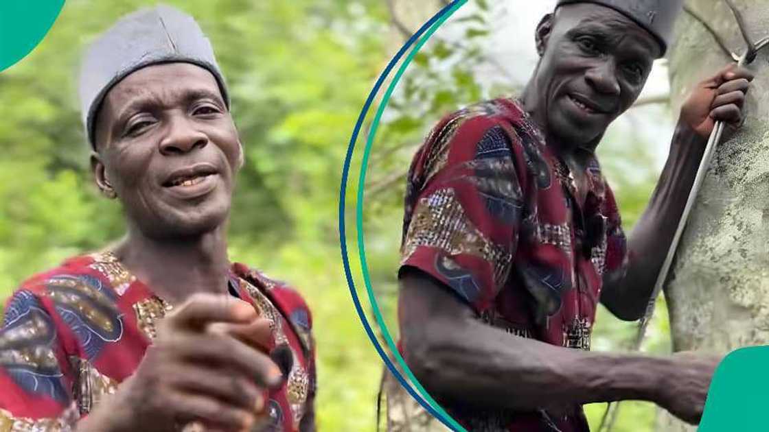 Elderly Nigerian Climbs Palm Trees for 32 Years, Makes More Than Most People Daily